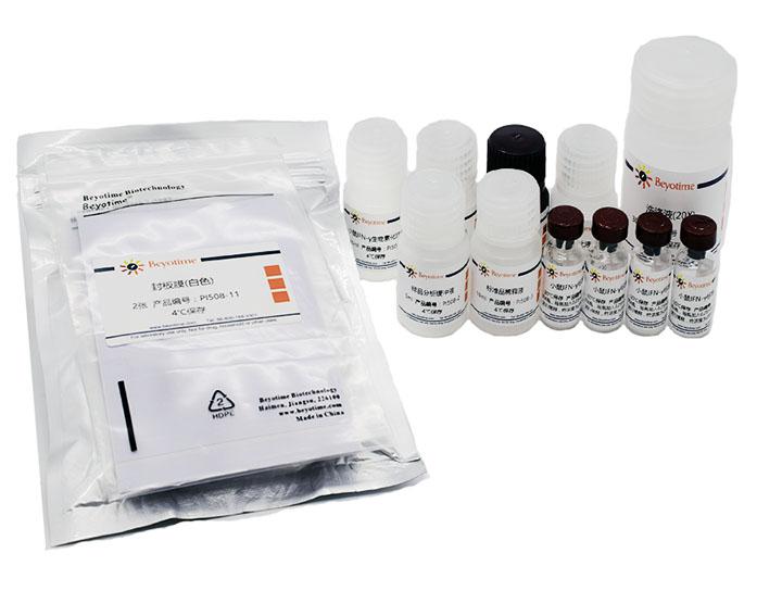 Mouse IFN-γ ELISA Kit